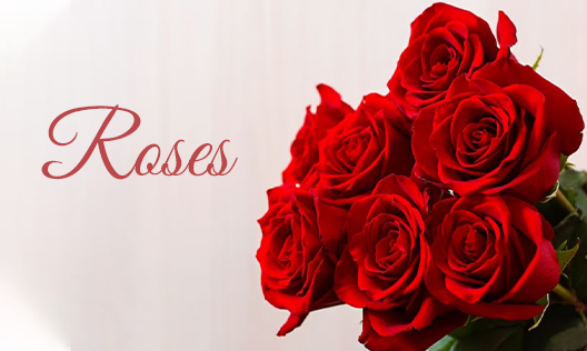 send roses online